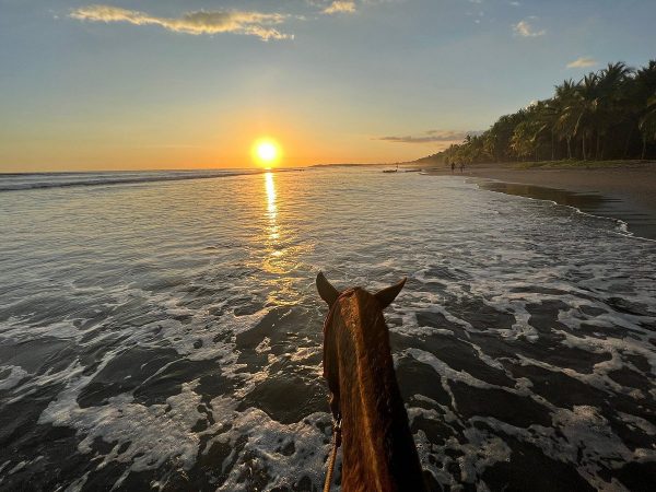 Personalized Beach Adventure Near Jaco (Nov-May, 4pm) - Image 3